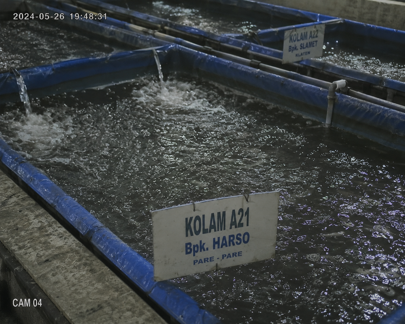 CCTV Kolam Lele